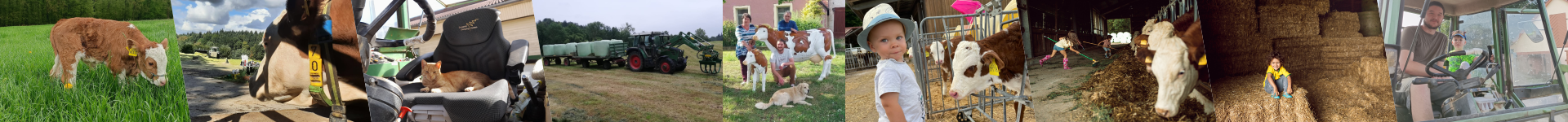 Ferien auf dem Bauernhof - Kinder, Tiere u.v.m.