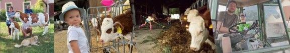 Ferien auf dem Bauernhof - Kinder, Tiere u.v.m.